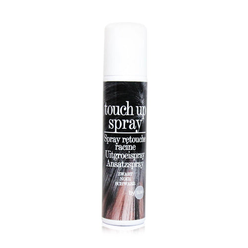 Touch Up Spray by SLM - Black 75ml