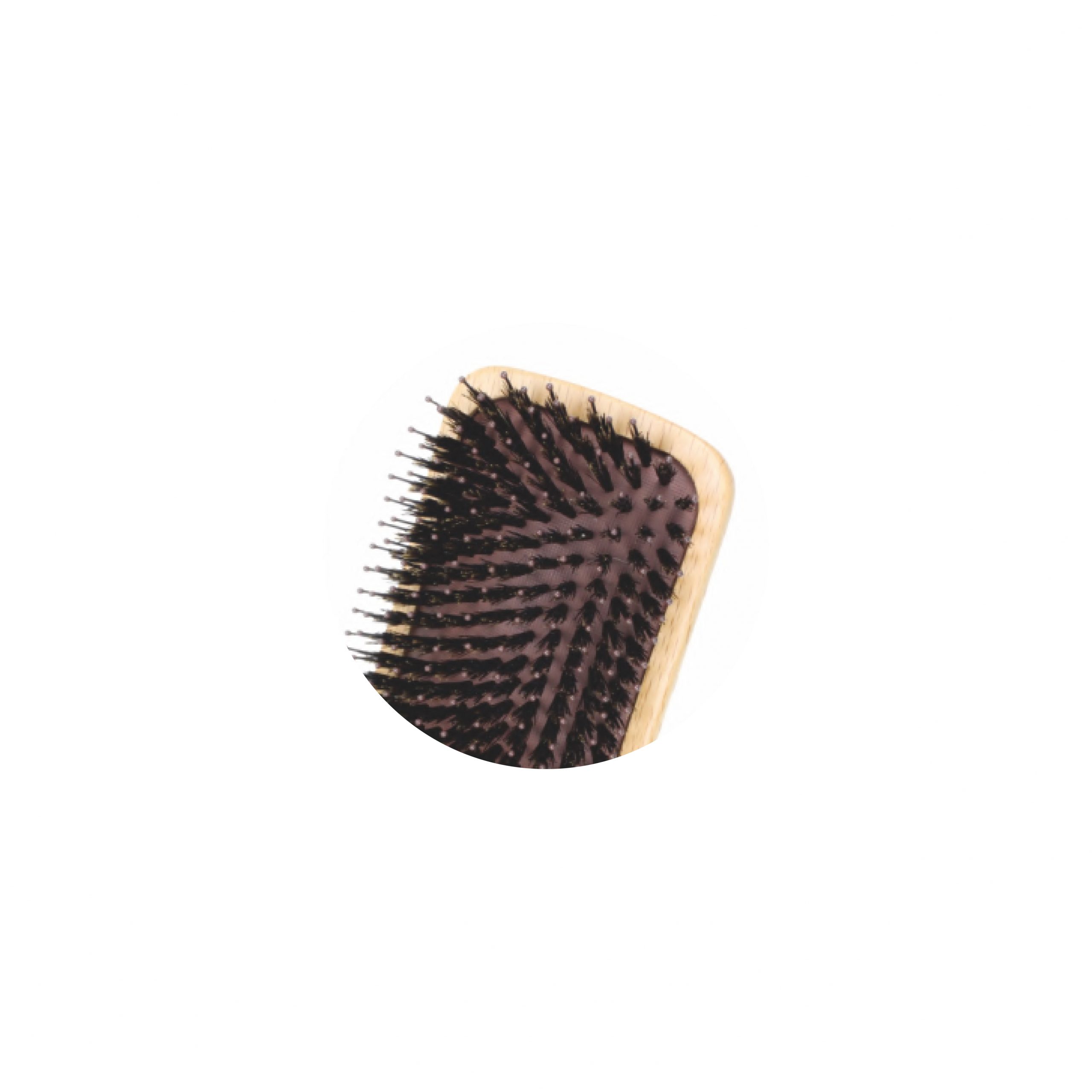 31-6294011581168-IQ-58116 IQUEEN LARGE OVAL CUSHION BRUSH-3